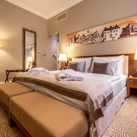 伊丽莎白酒店 酒店 Trenčín