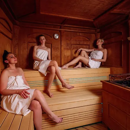 伊丽莎白酒店 4*