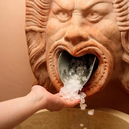 伊丽莎白酒店 Trenčín