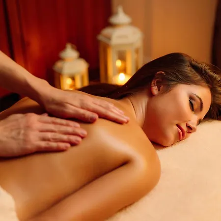 伊丽莎白酒店 4* Trenčín