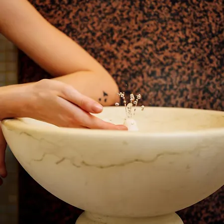 伊丽莎白酒店 酒店