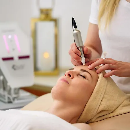 伊丽莎白酒店 酒店 4*